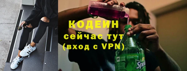 индика Баксан
