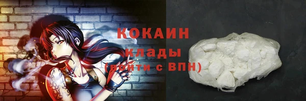 индика Баксан