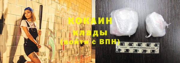 индика Баксан